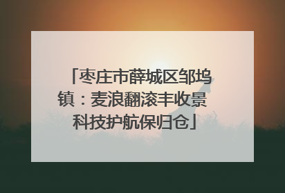 枣庄市薛城区邹坞镇：麦浪翻滚丰收景 科技护航保归仓