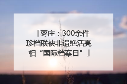 枣庄：300余件珍档联袂非遗绝活亮相“国际档案日”