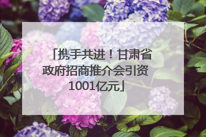 携手共进！甘肃省政府招商推介会引资1001亿元