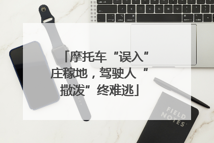 摩托车“误入”庄稼地，驾驶人“撒泼”终难逃
