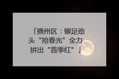 播州区：铆足劲头“抢春光”全力拼出“首季红”