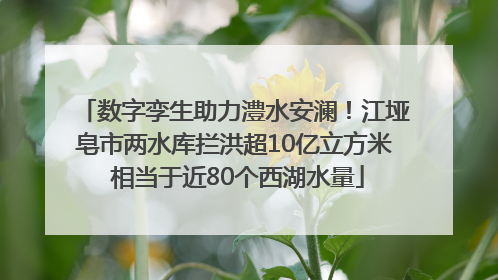 数字孪生助力澧水安澜！江垭皂市两水库拦洪超10亿立方米 相当于近80个西湖水量