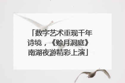 数字艺术重现千年诗境，《赊月洞庭》南湖夜游精彩上演