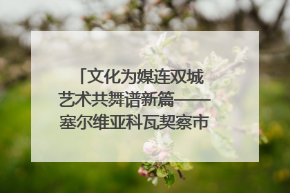 文化为媒连双城 艺术共舞谱新篇——塞尔维亚科瓦契察市代表团访问日照