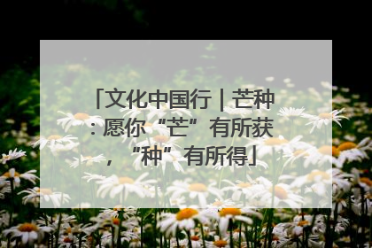 文化中国行｜芒种：愿你“芒”有所获，“种”有所得