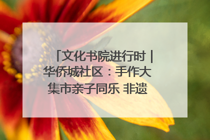 文化书院进行时｜华侨城社区：手作大集市亲子同乐 非遗传承暖邻心