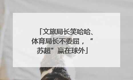 文旅局长笑哈哈、体育局长不委屈，“苏超”赢在球外