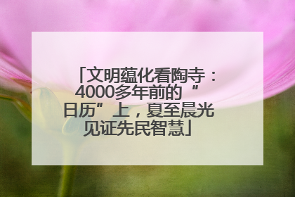 文明蕴化看陶寺：4000多年前的“日历”上，夏至晨光见证先民智慧