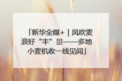 新华全媒+｜风吹麦浪好“丰”景——多地小麦机收一线见闻