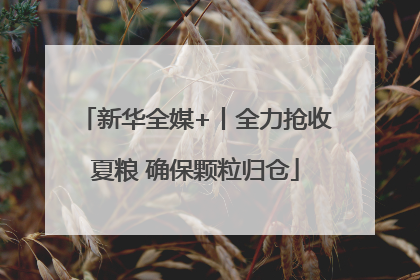 新华全媒+丨全力抢收夏粮 确保颗粒归仓