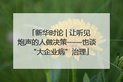 新华时论 | 让听见炮声的人做决策——也谈“大企业病”治理