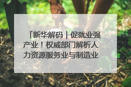 新华解码｜促就业强产业！权威部门解析人力资源服务业与制造业融合发展试点