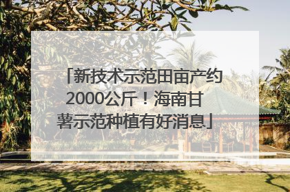新技术示范田亩产约2000公斤！海南甘薯示范种植有好消息