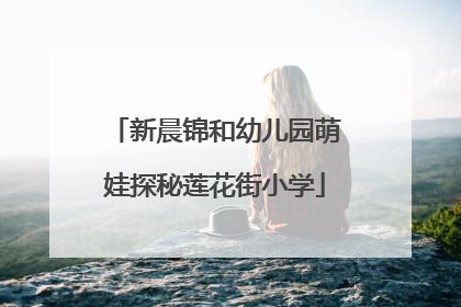 新晨锦和幼儿园萌娃探秘莲花街小学