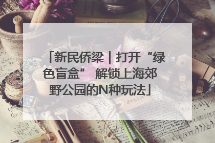 新民侨梁｜打开“绿色盲盒” 解锁上海郊野公园的N种玩法