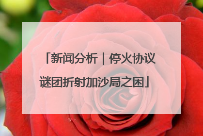 新闻分析｜停火协议谜团折射加沙局之困
