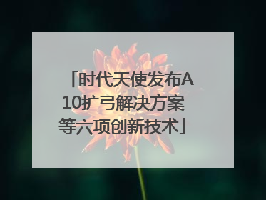 时代天使发布A10扩弓解决方案等六项创新技术