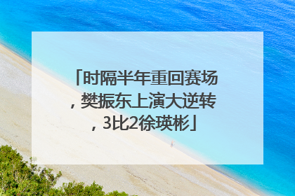 时隔半年重回赛场，樊振东上演大逆转，3比2徐瑛彬