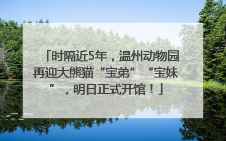 时隔近5年，温州动物园再迎大熊猫“宝弟”“宝妹”，明日正式开馆！