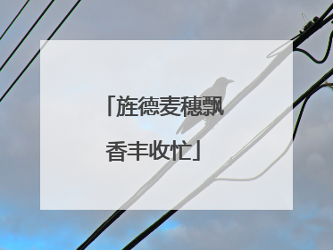 旌德麦穗飘香丰收忙