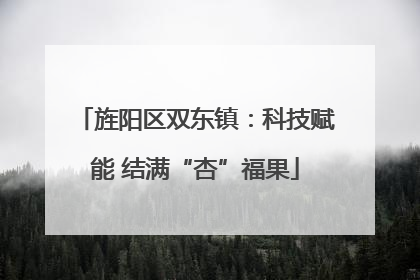 旌阳区双东镇：科技赋能 结满“杏”福果
