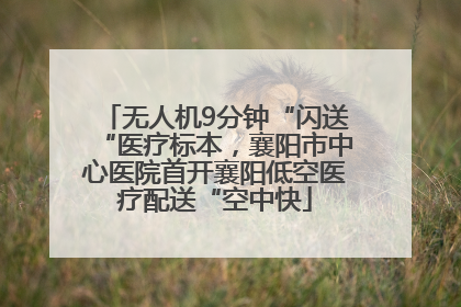 无人机9分钟“闪送“医疗标本，襄阳市中心医院首开襄阳低空医疗配送“空中快