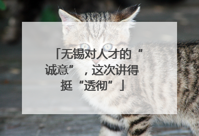 无锡对人才的“诚意”，这次讲得挺“透彻”