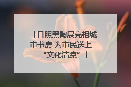 日照黑陶展亮相城市书房 为市民送上“文化清凉”