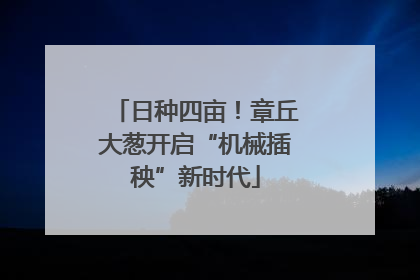 日种四亩！章丘大葱开启“机械插秧”新时代