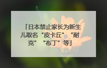 日本禁止家长为新生儿取名“皮卡丘”“耐克”“布丁”等