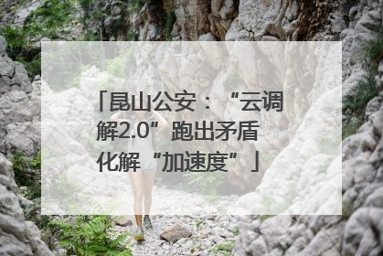 昆山公安：“云调解2.0”跑出矛盾化解“加速度”