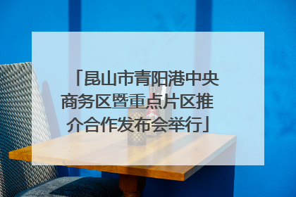 昆山市青阳港中央商务区暨重点片区推介合作发布会举行