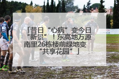 昔日“心病”变今日“新景”！东高地万源南里26栋楼前绿地变“共享花园”