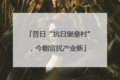 昔日“抗日堡垒村”，今朝富民产业新