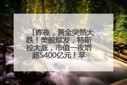 昨夜，黄金突然大跌！美股爆发，特斯拉大涨，市值一夜增超5400亿元！苹果传来大消息