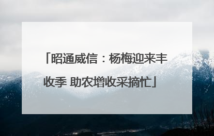 昭通威信：杨梅迎来丰收季 助农增收采摘忙