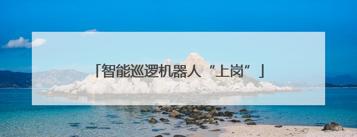 智能巡逻机器人“上岗”