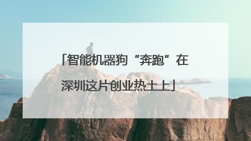 智能机器狗“奔跑”在深圳这片创业热土上