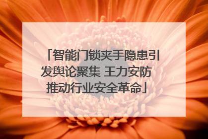 智能门锁夹手隐患引发舆论聚集 王力安防推动行业安全革命