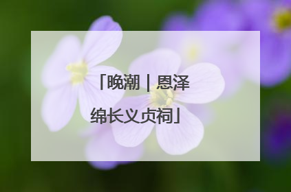 晚潮｜恩泽绵长义贞祠