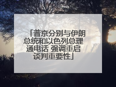 普京分别与伊朗总统和以色列总理通电话 强调重启谈判重要性