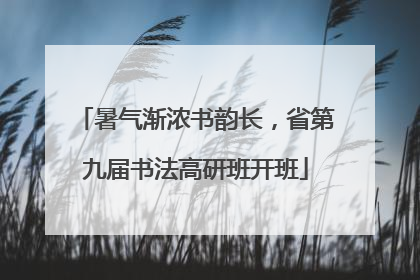 暑气渐浓书韵长，省第九届书法高研班开班