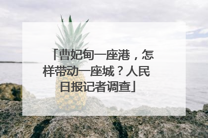 曹妃甸一座港，怎样带动一座城？人民日报记者调查