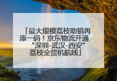 最大规模荔枝助销再添一码！京东物流开通“深圳-武汉-西安” 荔枝全货机航线
