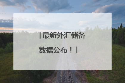 最新外汇储备数据公布！