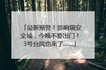 最新预警！影响瑞安全域，今晚不要出门！3号台风也来了……