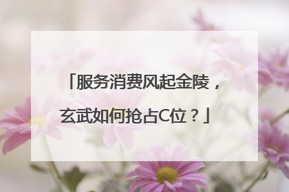 服务消费风起金陵，玄武如何抢占C位？