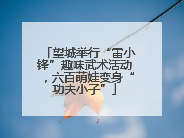 望城举行“雷小锋”趣味武术活动，六百萌娃变身“功夫小子”