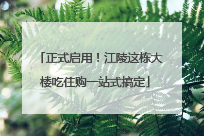 正式启用！江陵这栋大楼吃住购一站式搞定