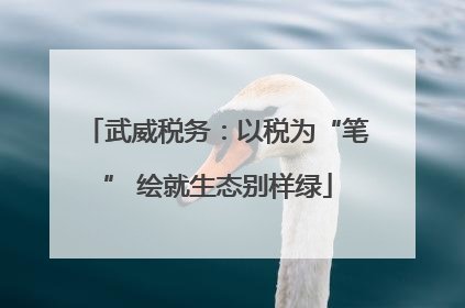 武威税务：以税为“笔” 绘就生态别样绿